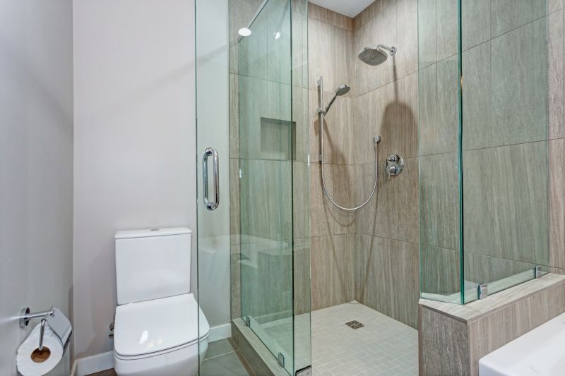 Contemporary Shower Area